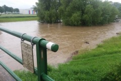 ffrup_hochw-20200621_22-5