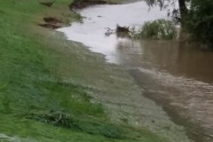 ffrup_hochw-20200621_22-64