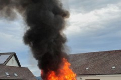 20210625_191954-960x1280