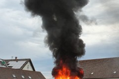 20210625_192129-960x1280