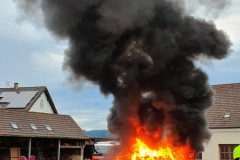 20210625_192229-960x1280