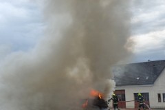 20210625_192258-960x1280