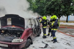 20210625_192557-960x1280