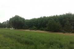 unwetter_18190721-17