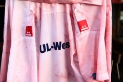 WhatsApp-Image-2022-07-09-at-19.53.38