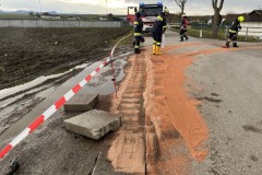 20230113_S1_zinsenhof-16