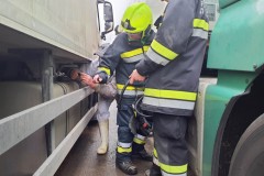 20230113_S1_zinsenhof-36