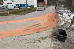 20230113_S1_zinsenhof-5