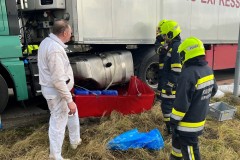 20230113_S1_zinsenhof-9