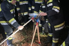 20300224_19_37_42.3130