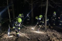 20300224_19_43_19.2400