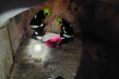 009_13.10.2023_19.07_1