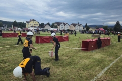 20250607_Abschnitt_Erlauf-1