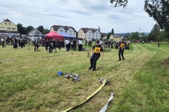 20250607_Abschnitt_Erlauf-10