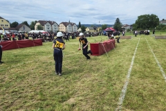 20250607_Abschnitt_Erlauf-14