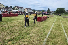 20250607_Abschnitt_Erlauf-15