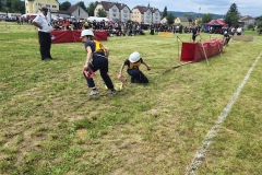 20250607_Abschnitt_Erlauf-16