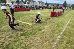 20250607_Abschnitt_Erlauf-17