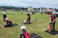 20250607_Abschnitt_Erlauf-18