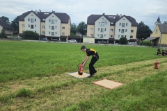 20250607_Abschnitt_Erlauf-2