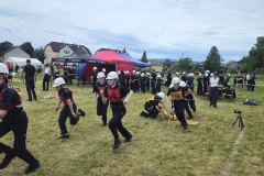 20250607_Abschnitt_Erlauf-21