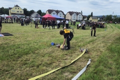 20250607_Abschnitt_Erlauf-24