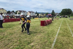 20250607_Abschnitt_Erlauf-28