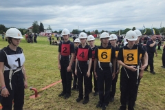 20250607_Abschnitt_Erlauf-4