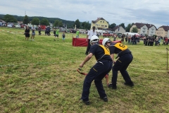 20250607_Abschnitt_Erlauf-6