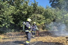 20250810-b1-brand-10