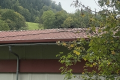 20250926-brand-texing-13