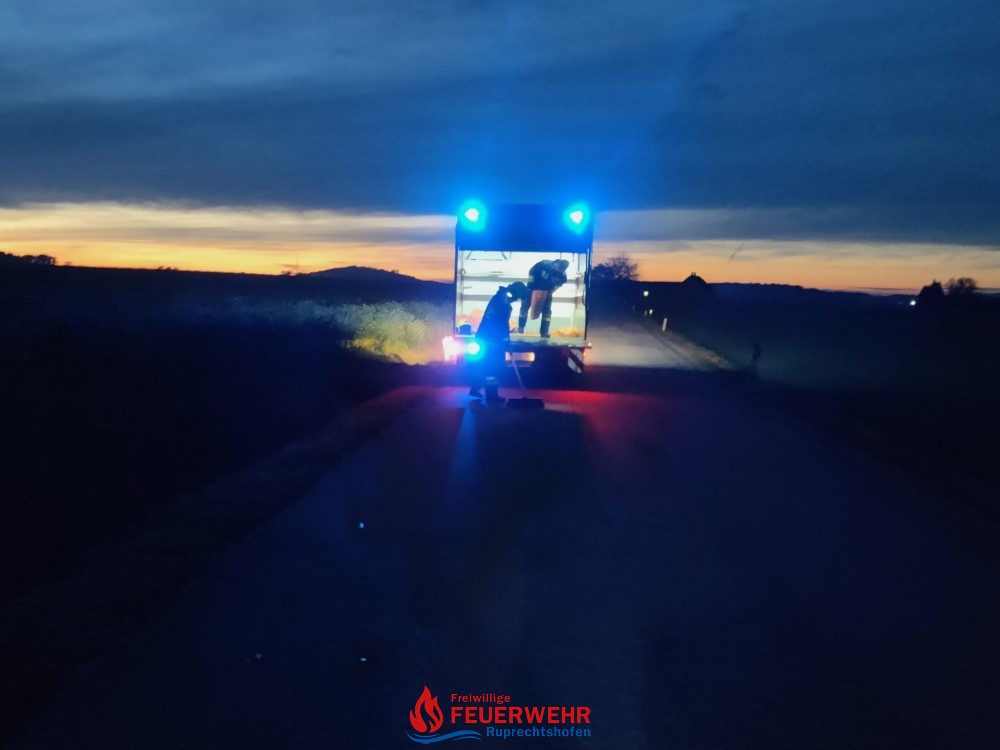 T1 - ÖLSPUR AUF FAHRBAHN