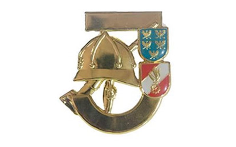 FJ LEISTUNGSABZEICHEN IN GOLD