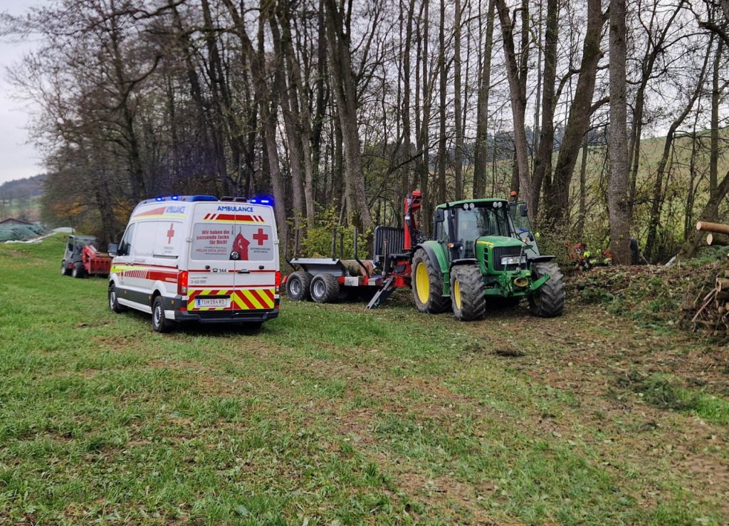 EINSATZ - FORSTUNFALL