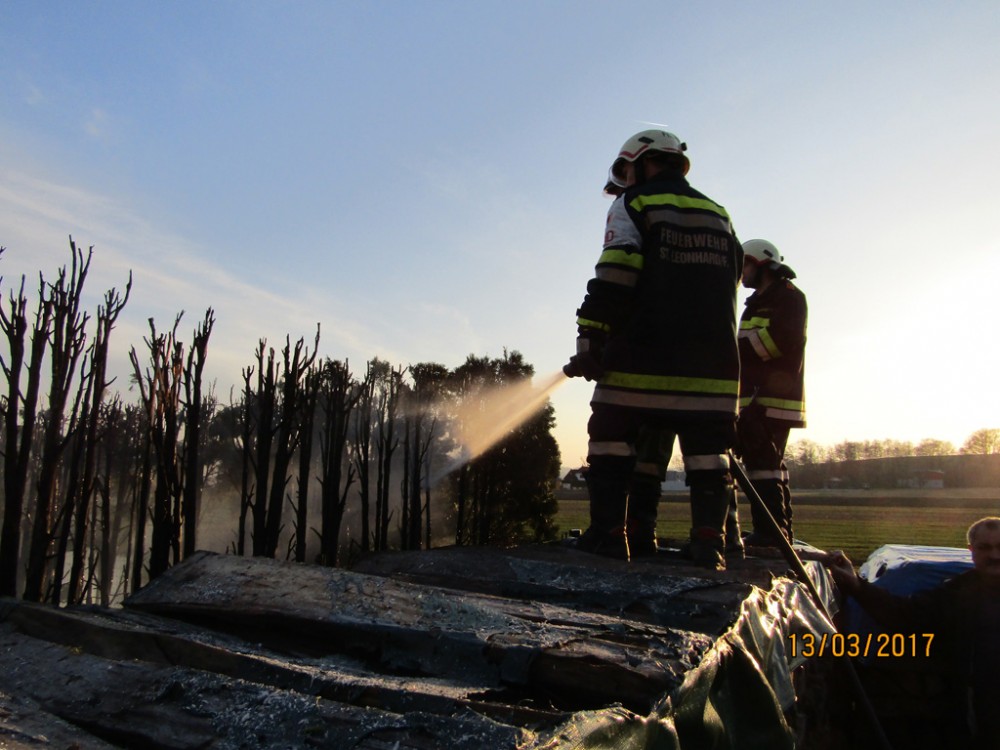 BRANDEINSATZ - HECKENBRAND